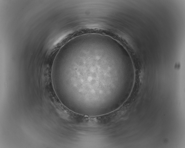 X0000111930968200907271309