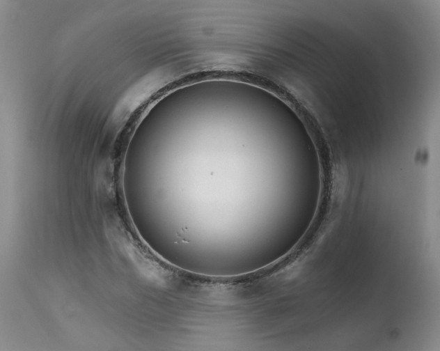 X0000111930970200907271309