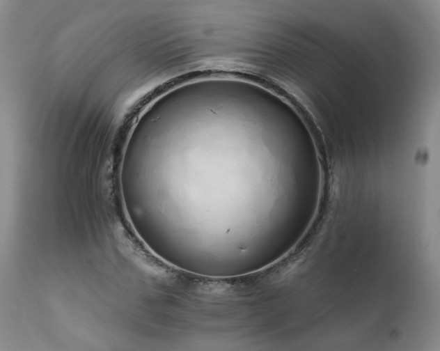X0000111930971200907271309