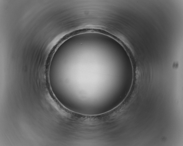 X0000111930972200907271309
