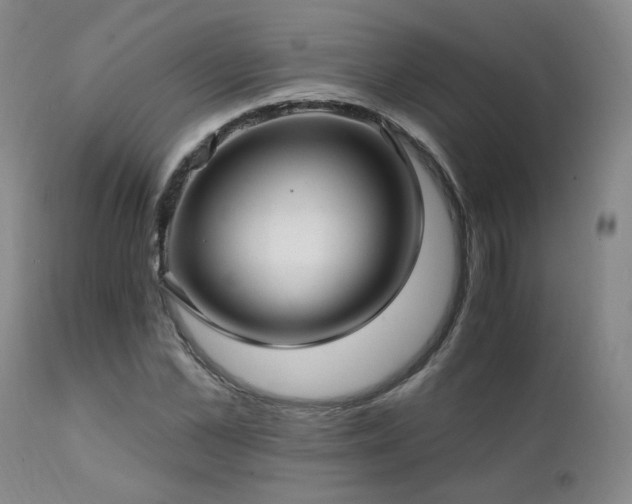 X0000111930973200907271309