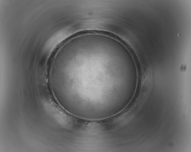 X0000111930974200907271309