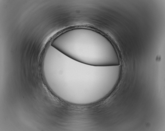 X0000111930975200907271309