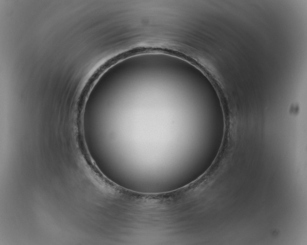 X0000111930976200907271309