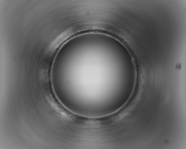 X0000111930977200907271309