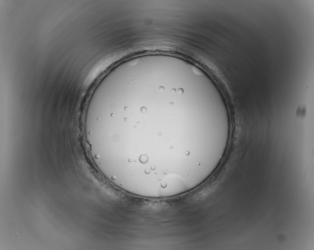 X0000111930978200907271309