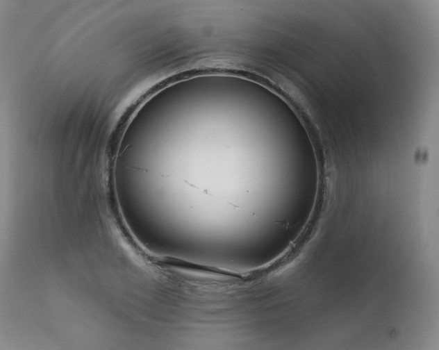 X0000111930981200907271309