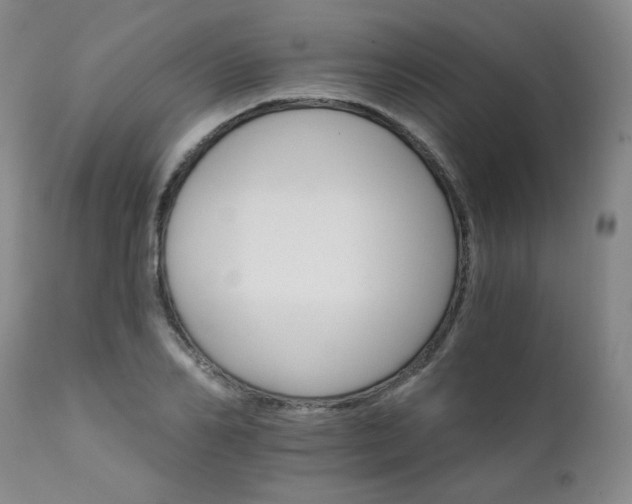 X0000111930982200907271309