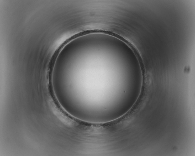 X0000111930983200907271309