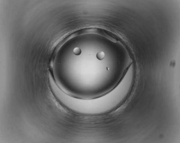 X0000111930985200907271309