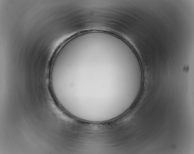 X0000111930987200907271309