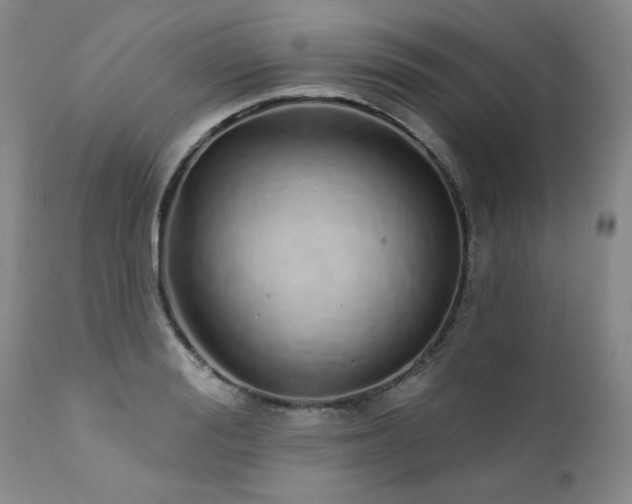 X0000111930988200907271309