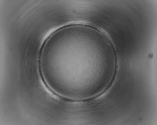 X0000111930989200907271309