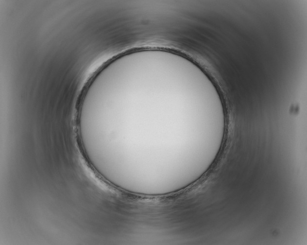 X0000111930990200907271309