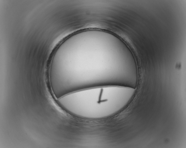X0000111930991200907271309