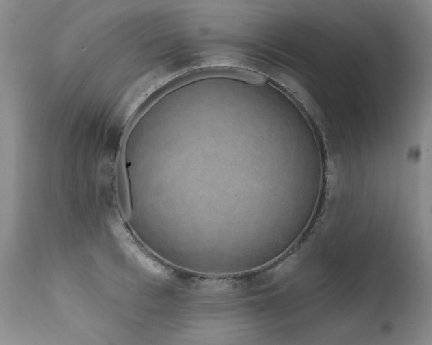X0000111930993200907271309