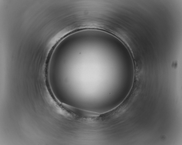 X0000111930995200907271309