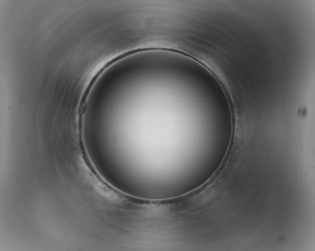 X0000111930996200907271309