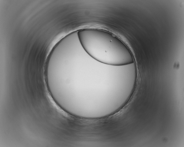 X0000111930997200907271309