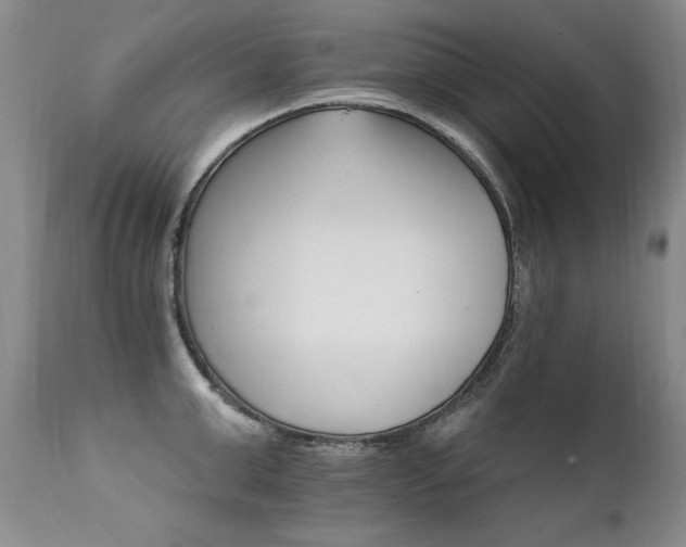 X0000111930999200907271309
