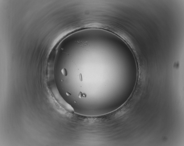 X0000111931000200907271309