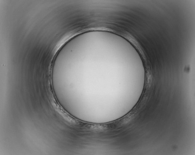 X0000111931002200907271309