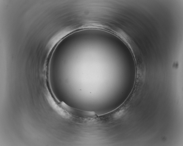 X0000111931003200907271309