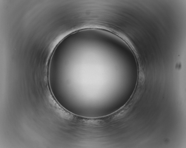 X0000111931004200907271309