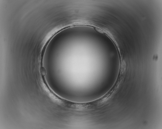 X0000111931005200907271309