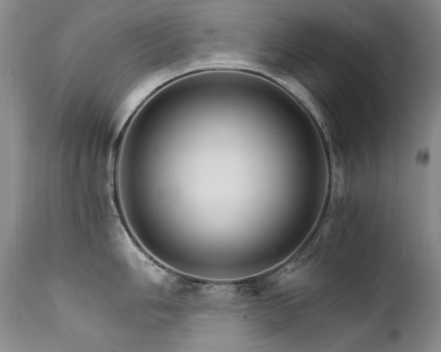 X0000111931006200907271309