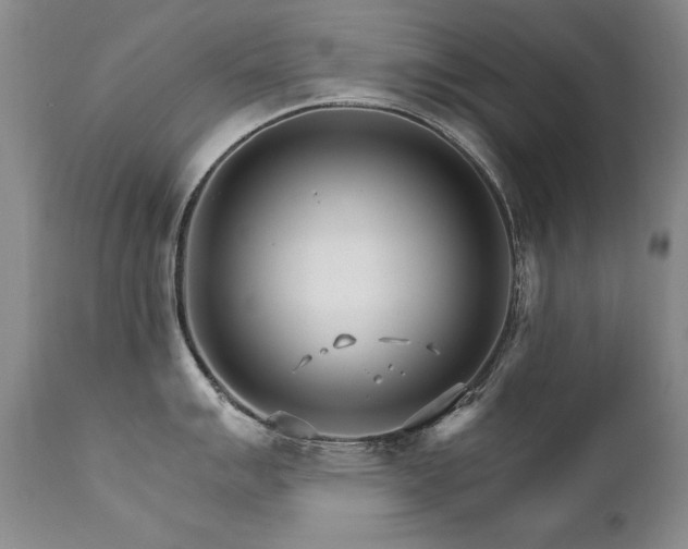 X0000111931007200907271309