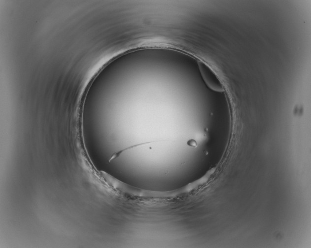 X0000111931008200907271308