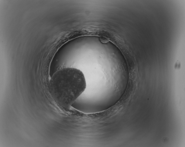 X0000111931009200907271308