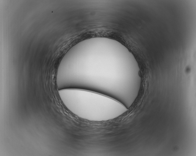 X0000111931010200907271308