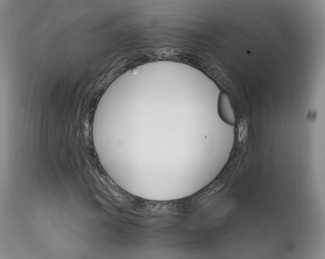 X0000111931011200907271308