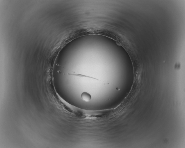 X0000111931012200907271308