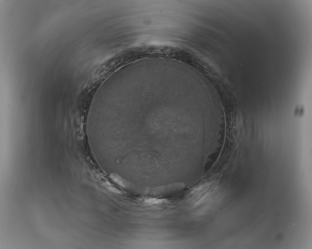 X0000111931013200907271308