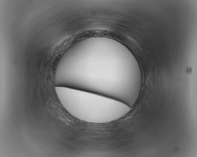 X0000111931014200907271308