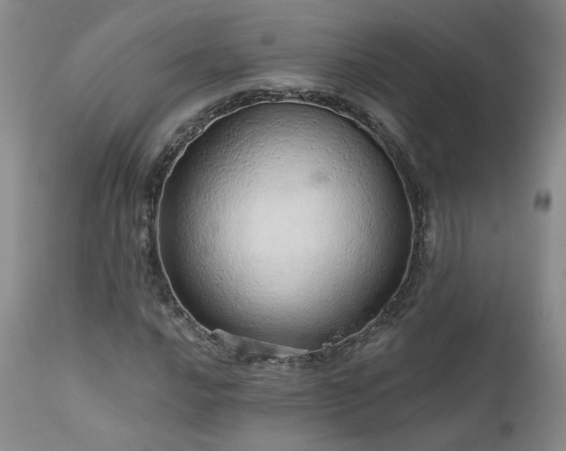 X0000111931016200907271308