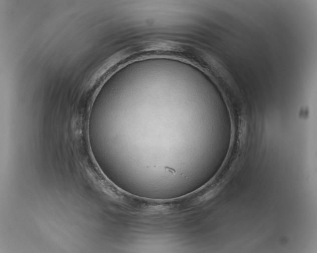 X0000111931017200907271308