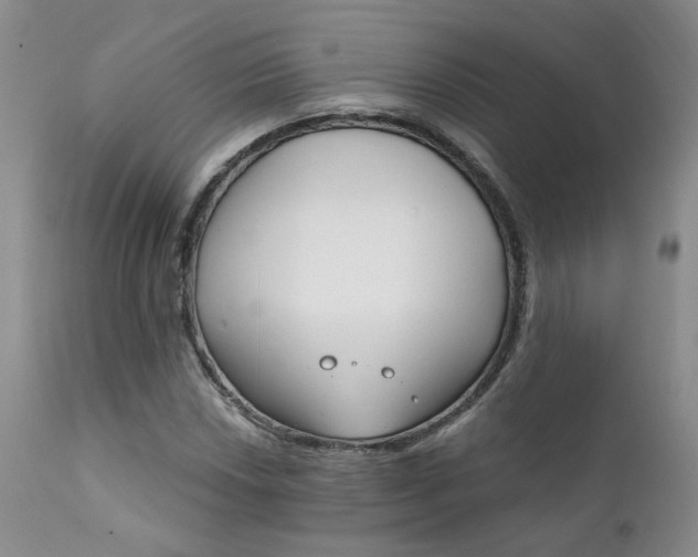 X0000111931018200907271308