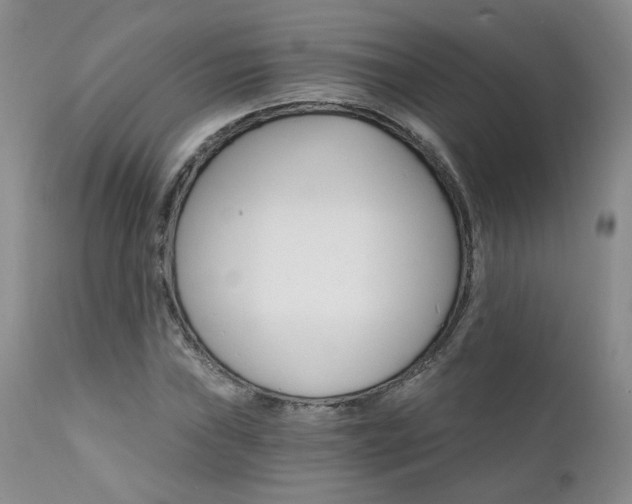 X0000111931019200907271308