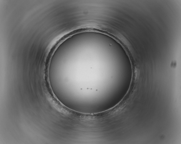 X0000111931020200907271308