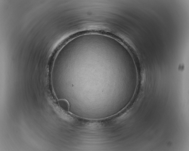 X0000111931021200907271308