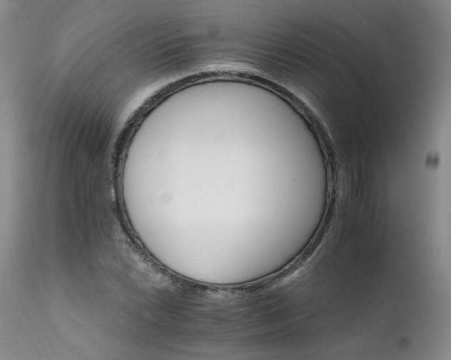 X0000111931022200907271308