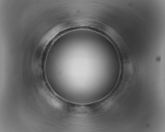X0000111931023200907271308