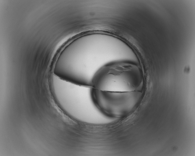 X0000111931024200907271308