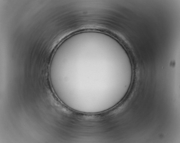 X0000111931025200907271308