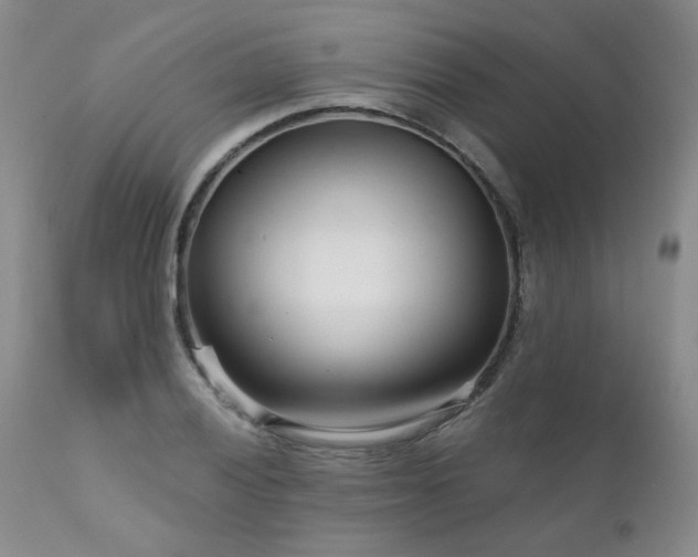 X0000111931028200907271308