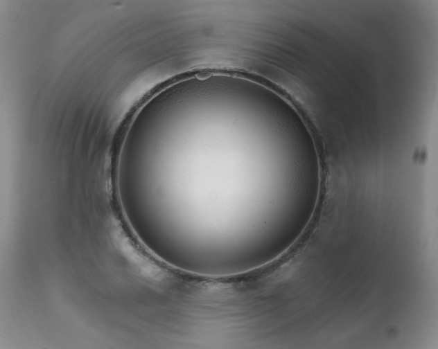 X0000111931030200907271308
